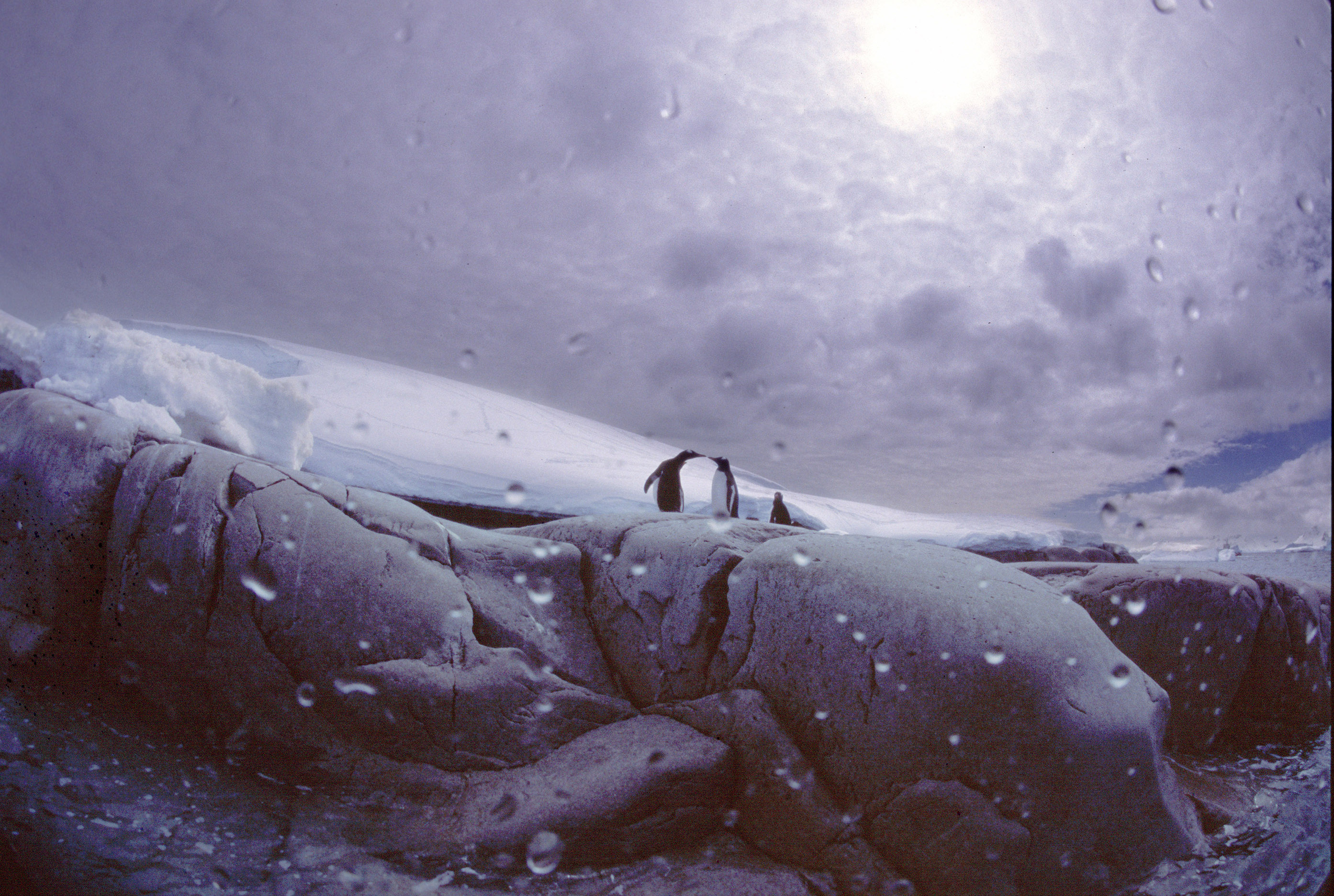 Antarctica