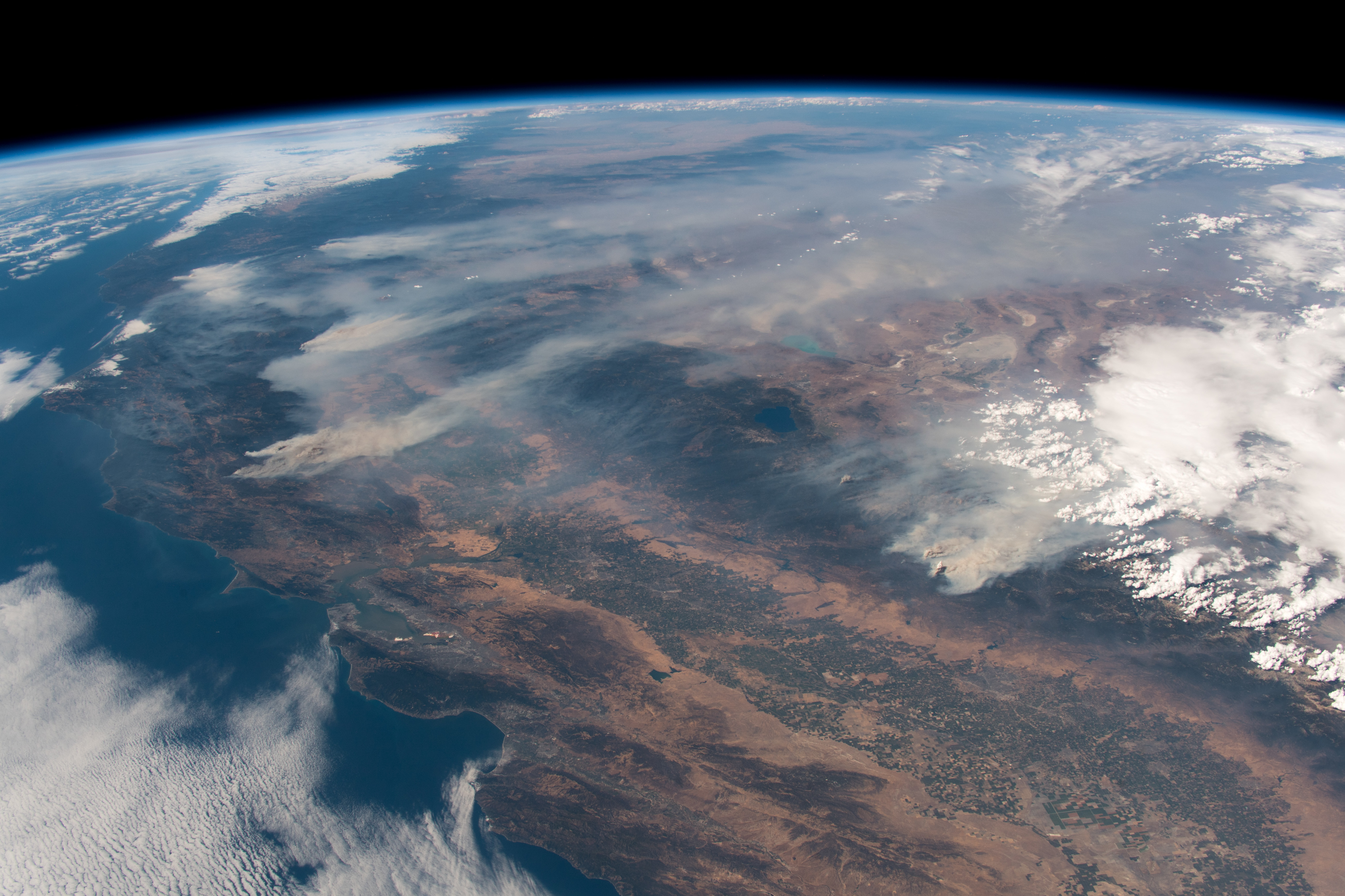 Deep Adaptation to the Climate Crisis