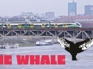 A whale in Warsaw? Impossible! And yet here it is!