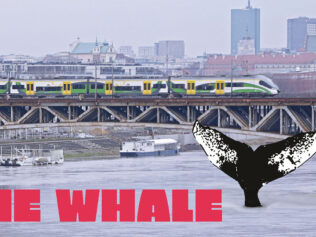 A whale in Warsaw? Impossible! And yet here it is!