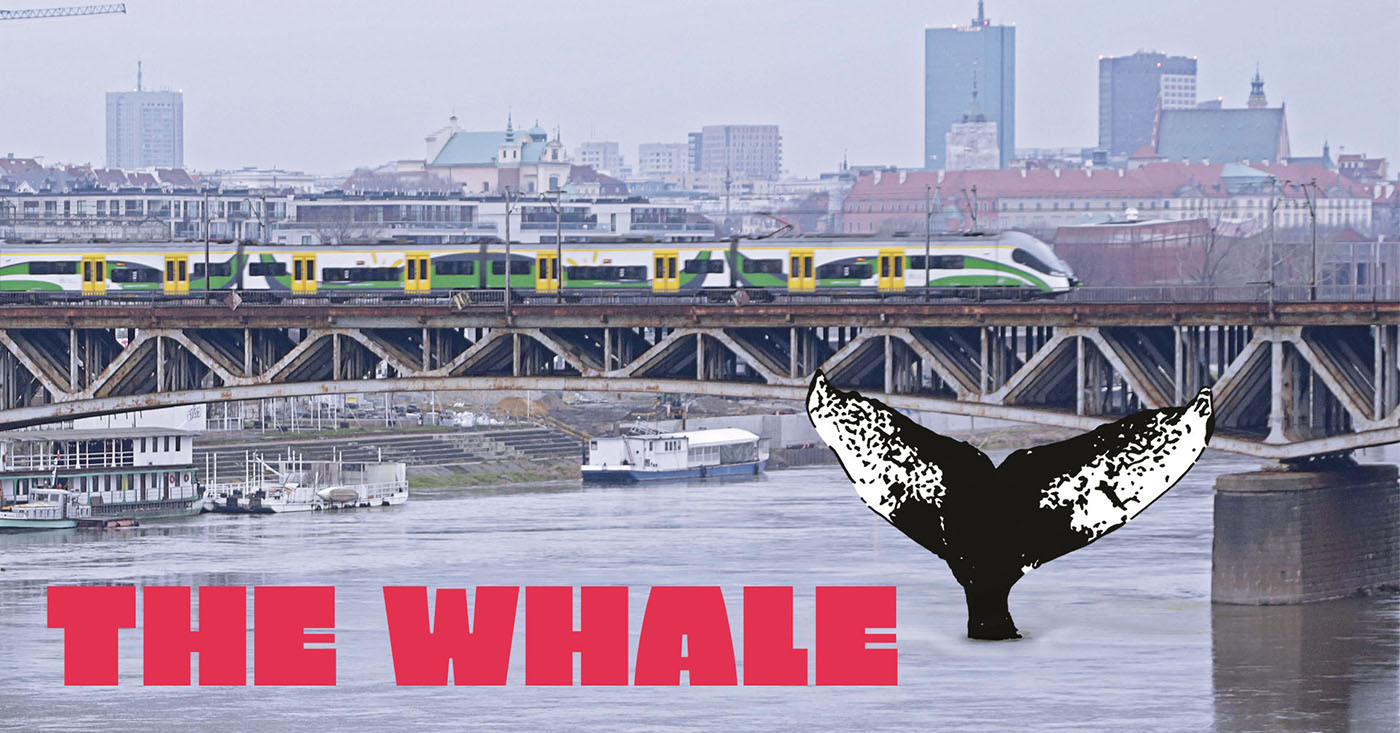 A whale in Warsaw? Impossible! And yet here it is!