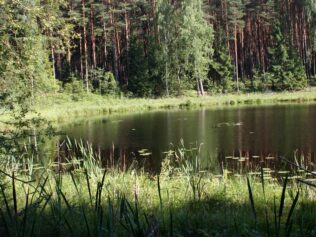 Woda – za dużo i za mało