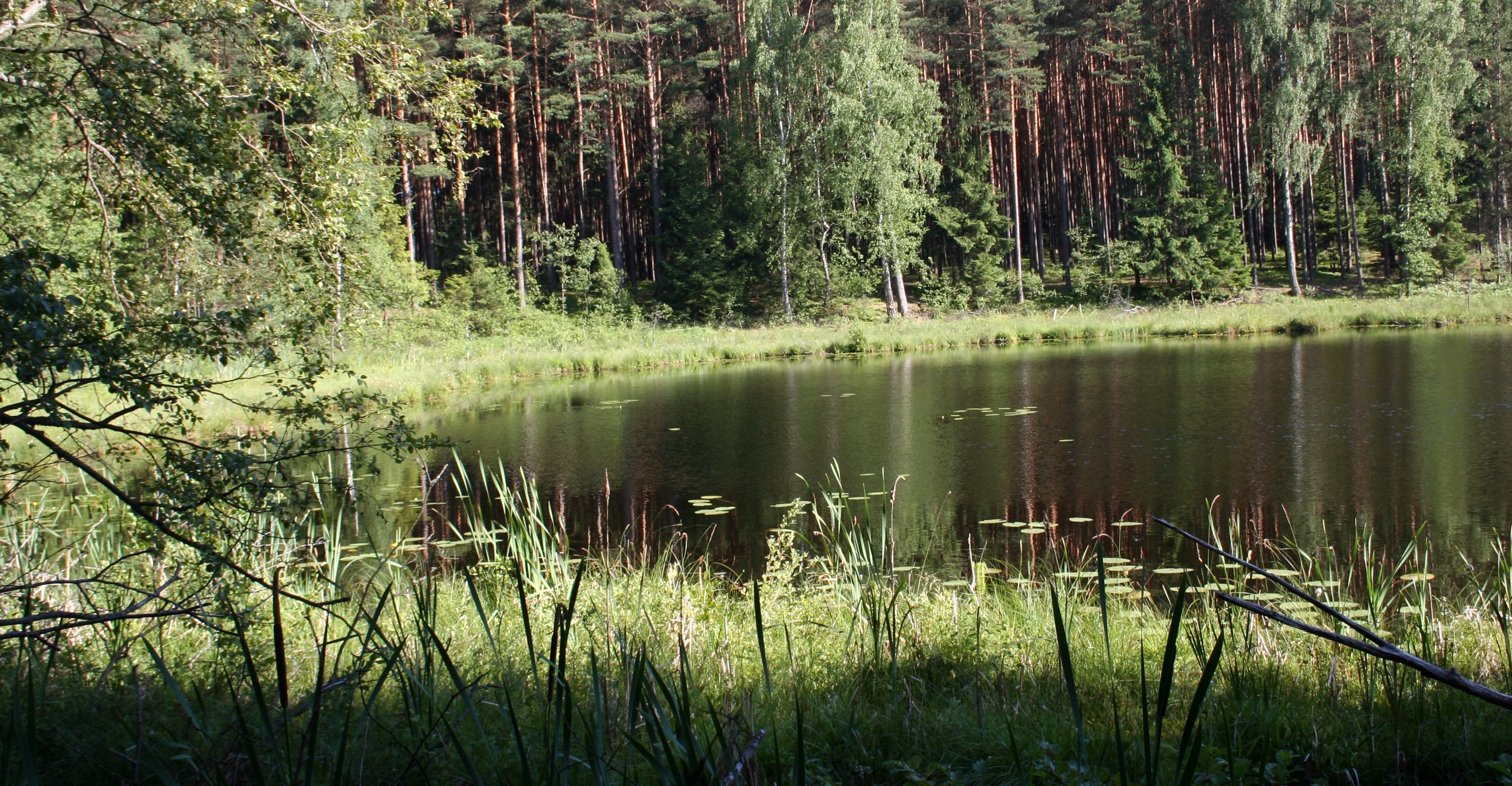 Woda – za dużo i za mało