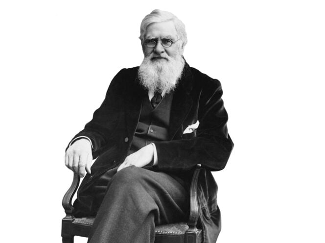 The Ecstasy of Alfred Russel Wallace