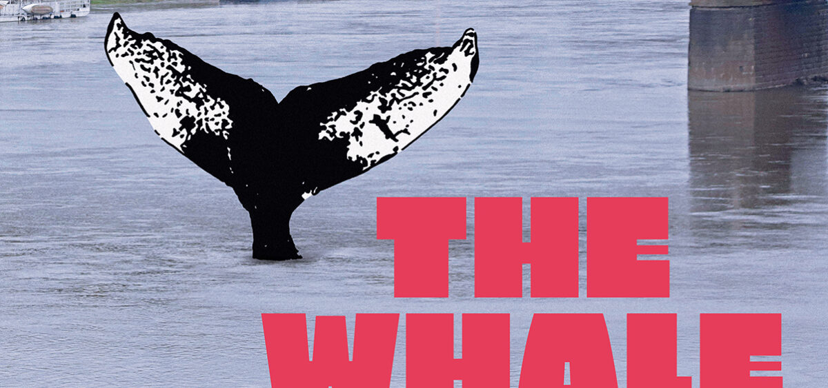 “The Whale” wins Jury Award at&nbsp;the Sebastopol Film Festival