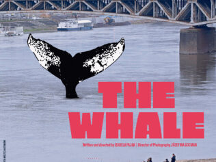 “The Whale” wins Jury Award at the Sebastopol Film Festival