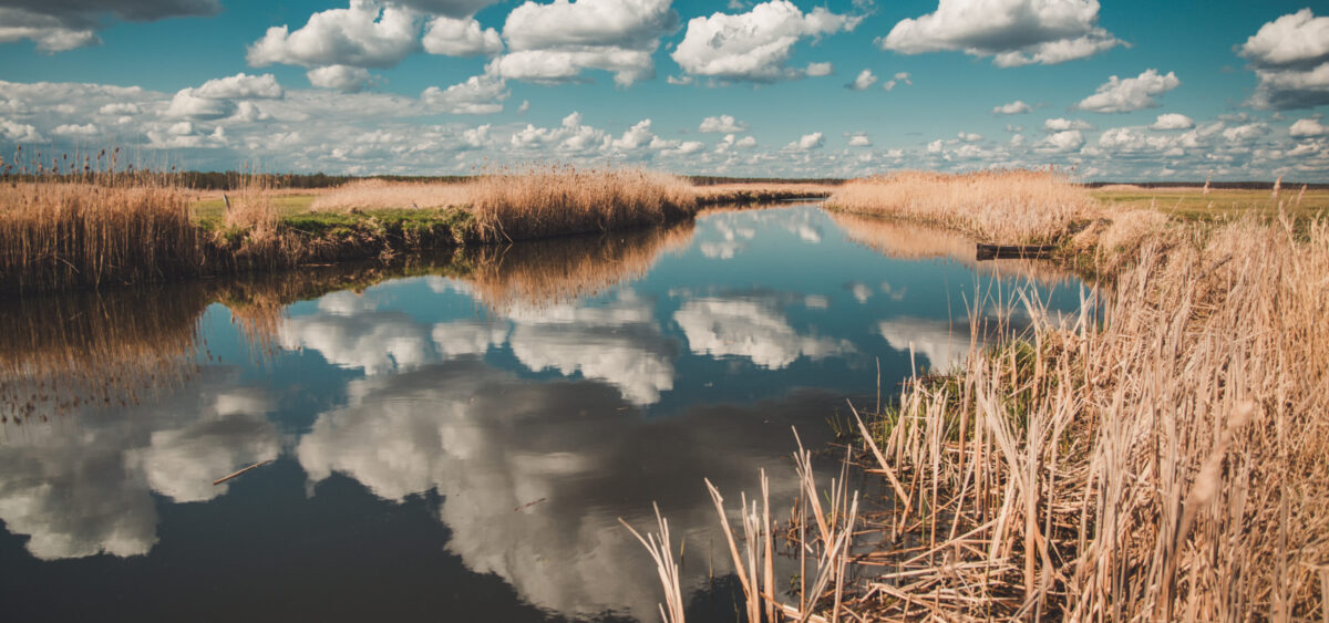 A&nbsp;Bird’s-Eye View on&nbsp;Biebrza and Narew