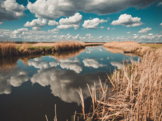 Biebrza i Narew z lotu ptaka