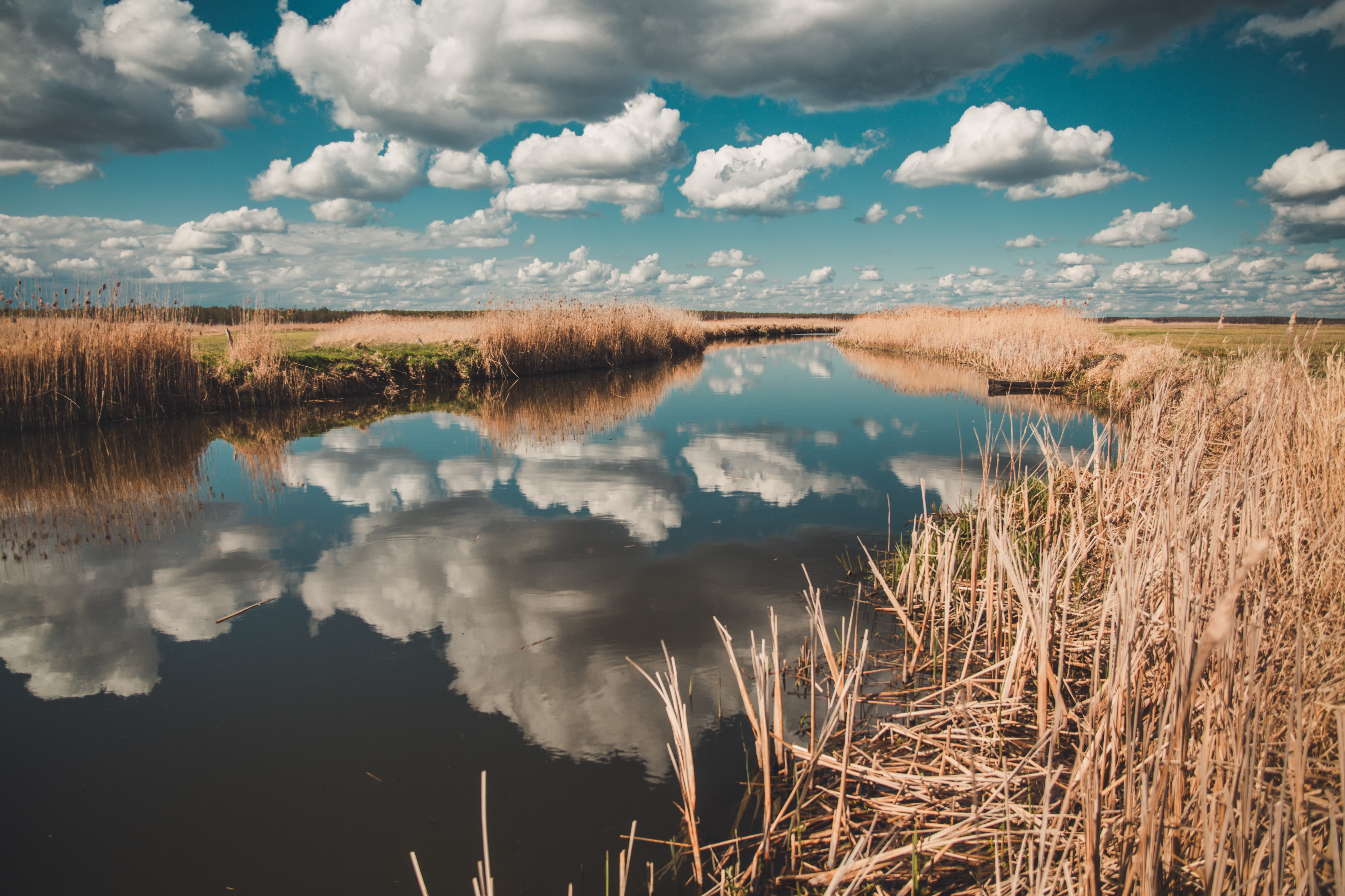 A Bird’s-Eye View on Biebrza and Narew