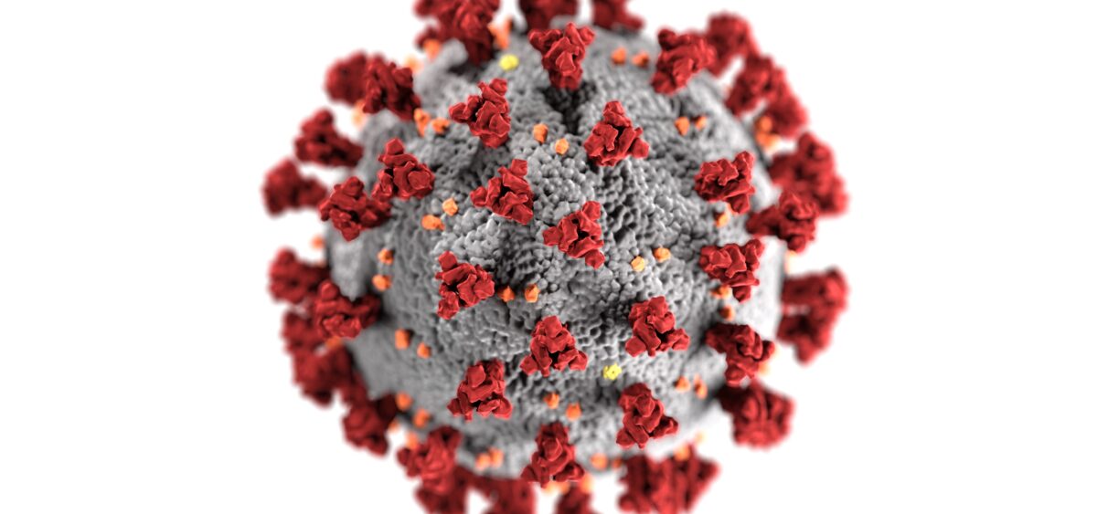 Of&nbsp;Viruses and Men