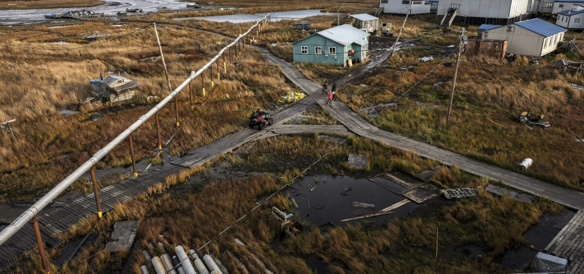 Grzęzawisko Alaska