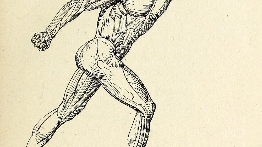 Day at&nbsp;the Anatomy Museum