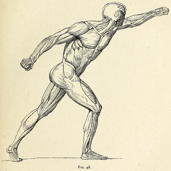 Day at the Anatomy Museum