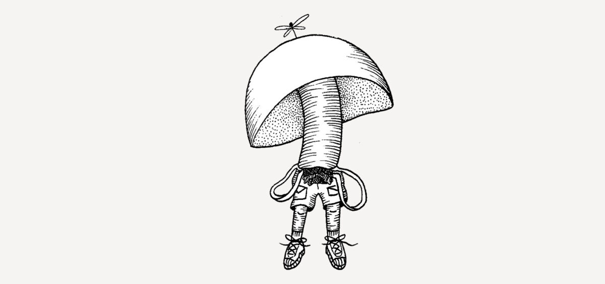 The Magic of&nbsp;Mushrooms