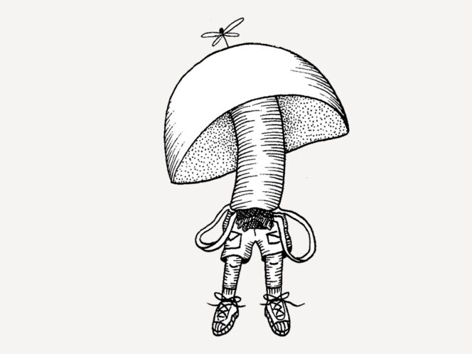 The Magic of&nbsp;Mushrooms