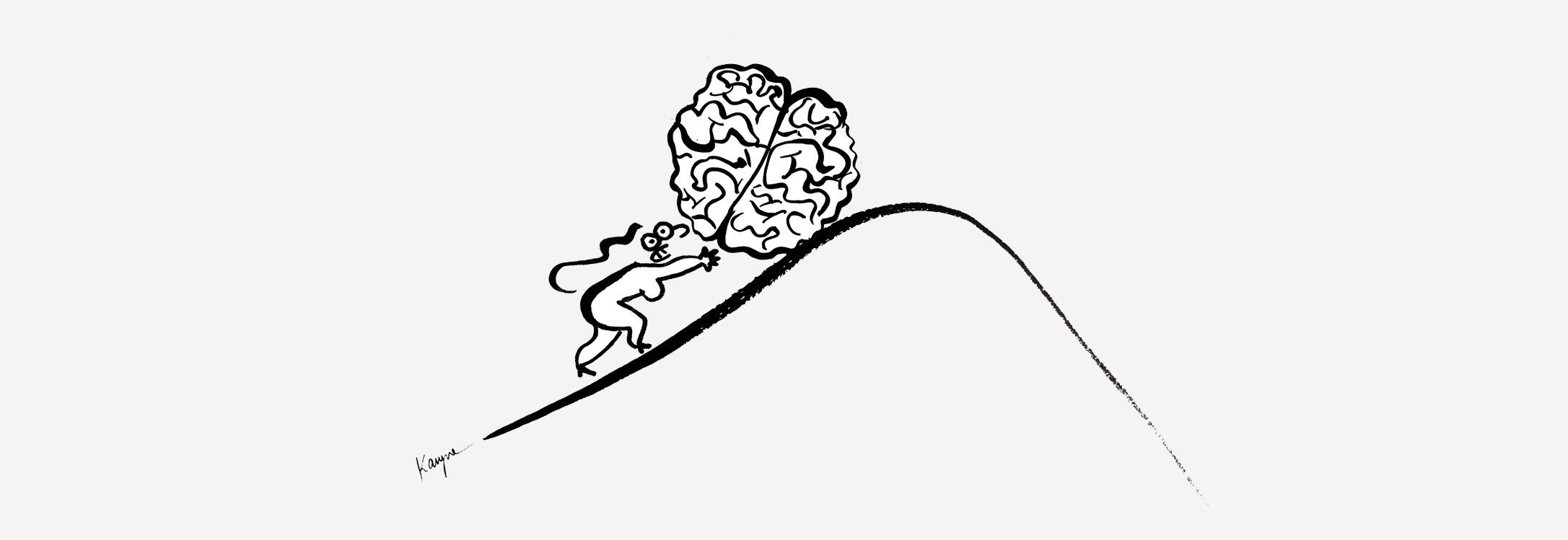 How the Brain Develops