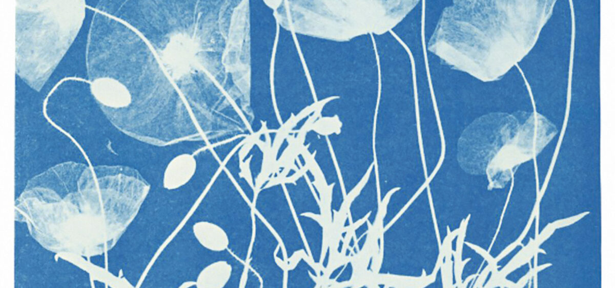 An&nbsp;Archivist of&nbsp;Nature