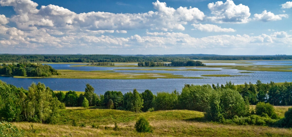 Ciotka naszych sióstr