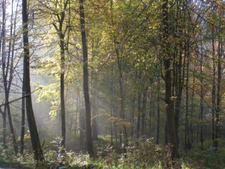 Rozważania o (jesiennej) pogodzie