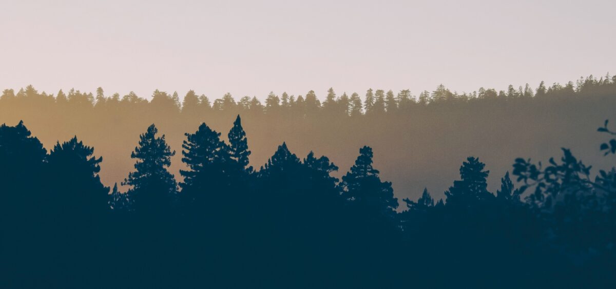 How a&nbsp;15-Minute ‘Awe Walk’ Drastically Improves Mental Health