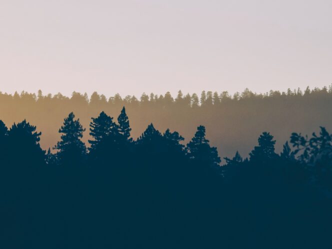 How a&nbsp;15-Minute ‘Awe Walk’ Drastically Improves Mental Health