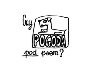 Czy pogoda pod psem? – 1/2021