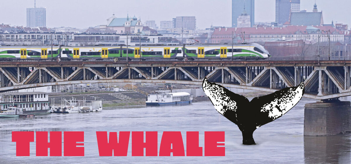 Watch the Documentary “The Whale”!