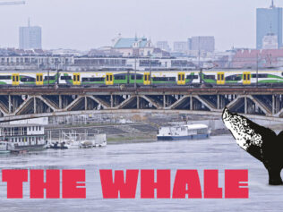 Watch the Documentary “The Whale”!