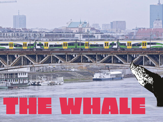 Watch the Documentary “The Whale”!