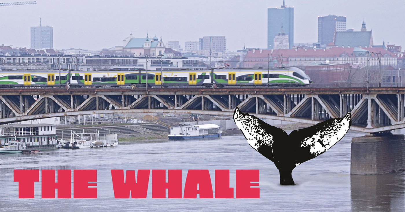 Watch the Documentary “The Whale”!