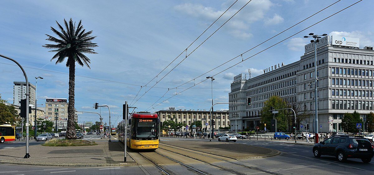 Kult drzew, czyli Palma i&nbsp;zimowe przesilenie