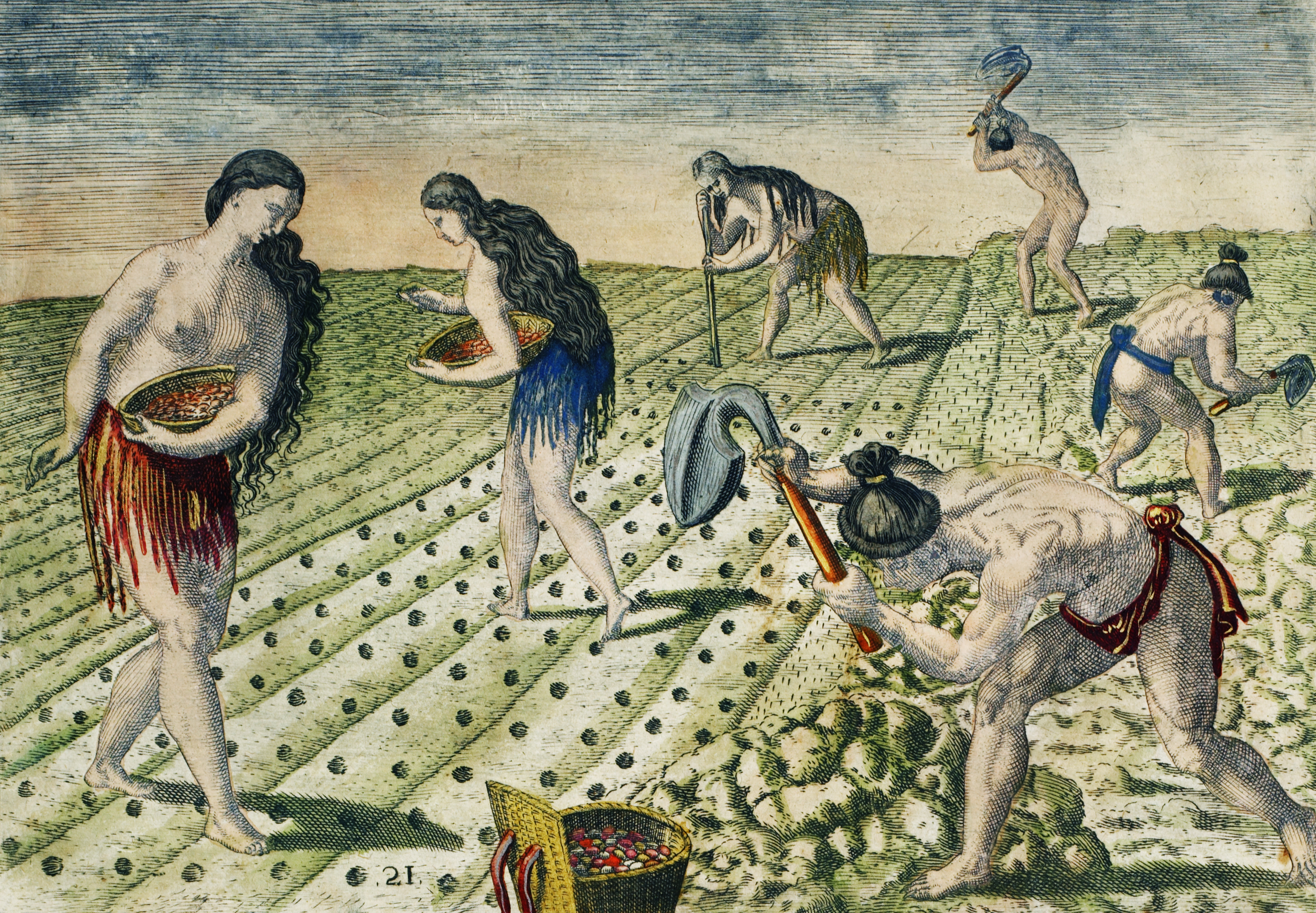 Grab a Spade and Get Digging!