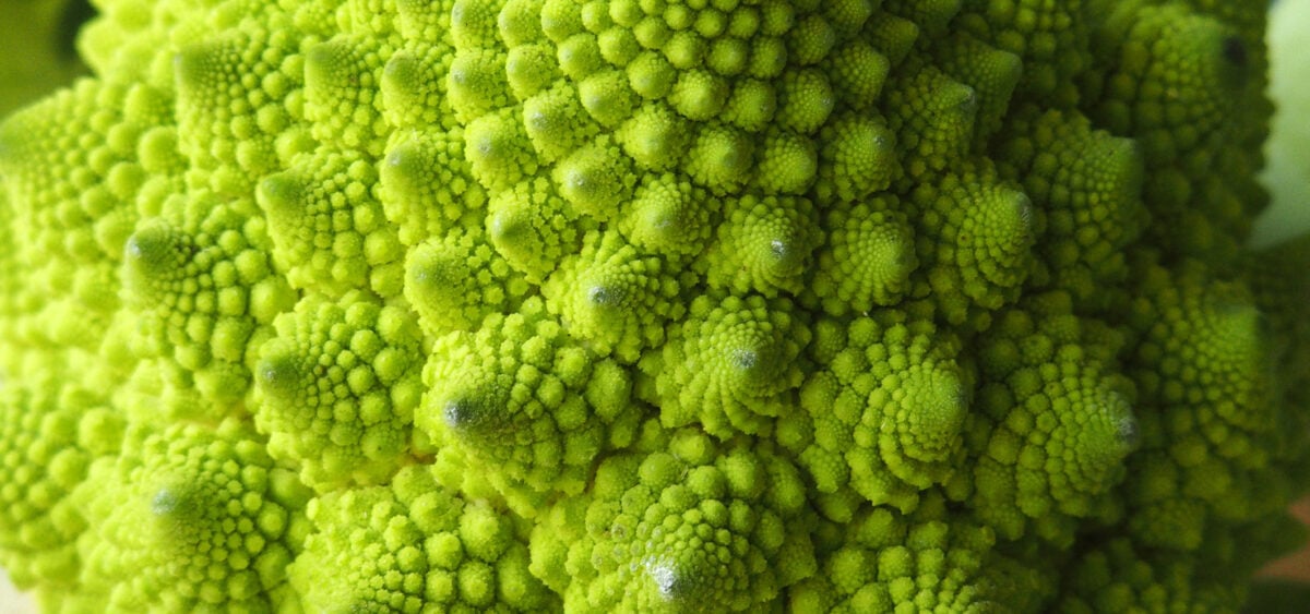 By&nbsp;the Age of 3, Children Appreciate Nature&#8217;s Fractal Patterns