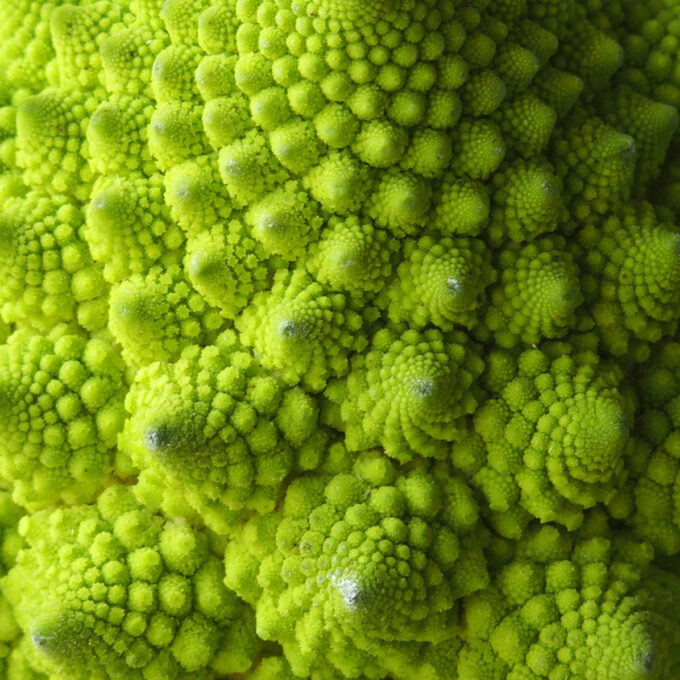 By&nbsp;the Age of 3, Children Appreciate Nature’s Fractal Patterns