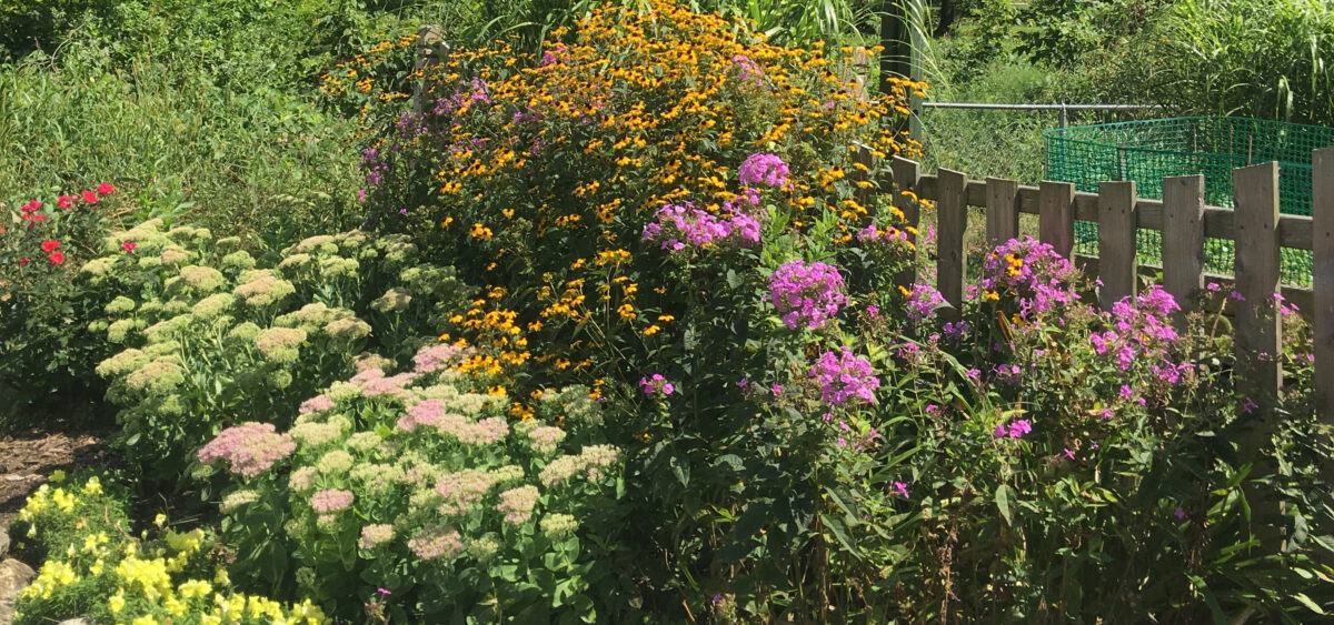 Humans Need Nature to&nbsp;Blossom