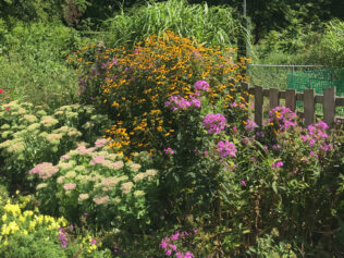 Humans Need Nature to Blossom