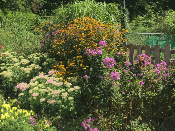 Humans Need Nature to&nbsp;Blossom