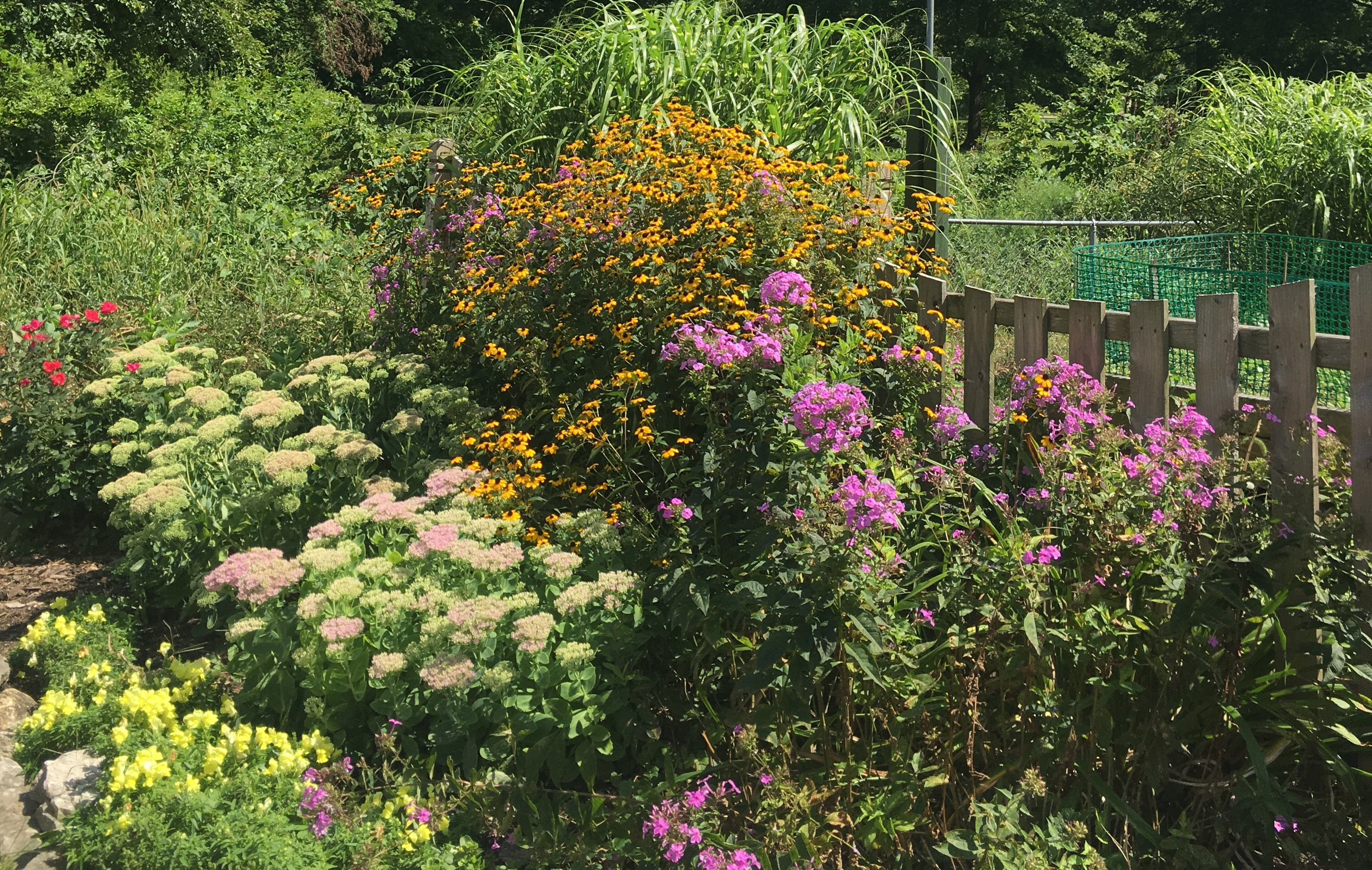 Humans Need Nature to Blossom