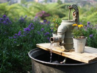 The Permaculture Mantra of Clean Water