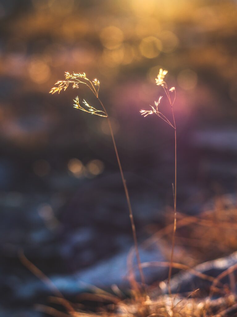Communing with the Moment