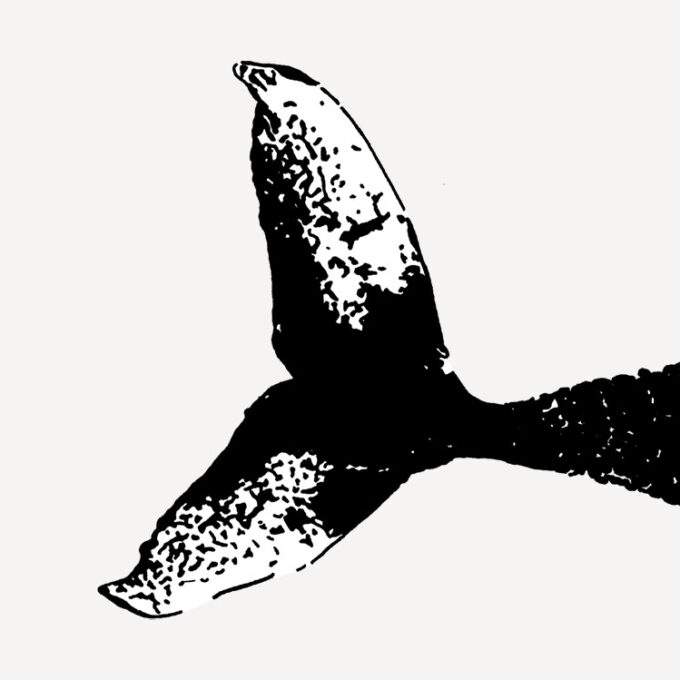The Children of the Whale