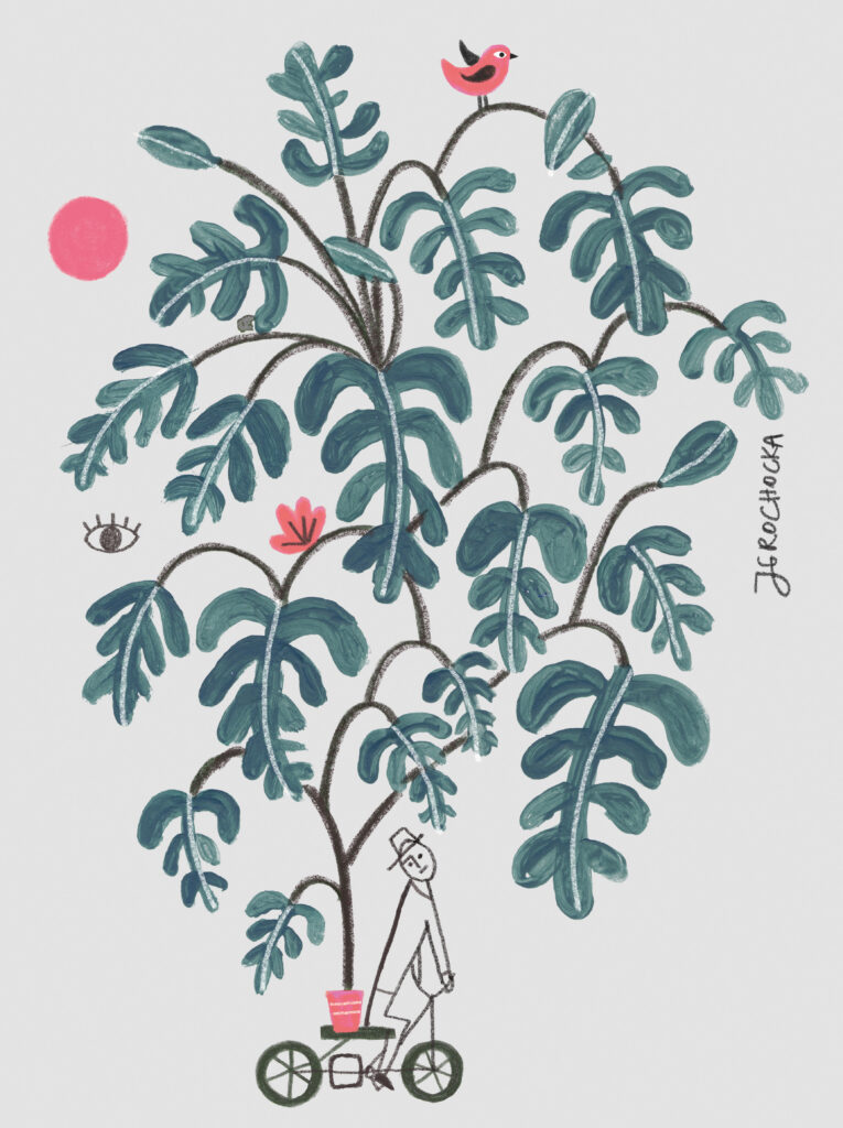 What Comes After Growth?