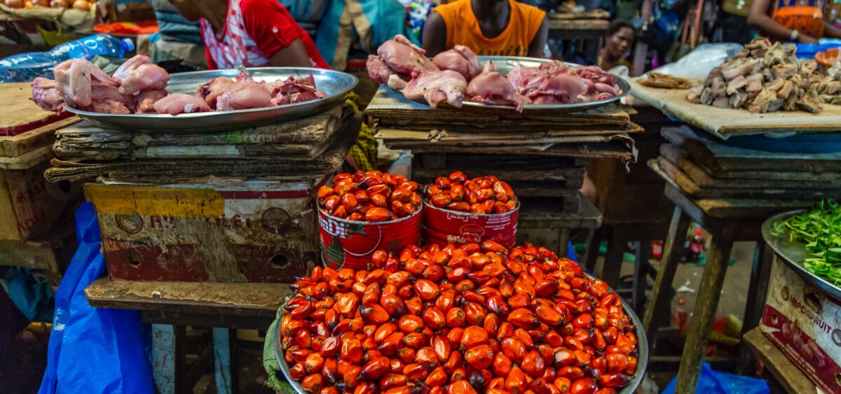 Food Imperialism Is&nbsp;Alive in&nbsp;Africa