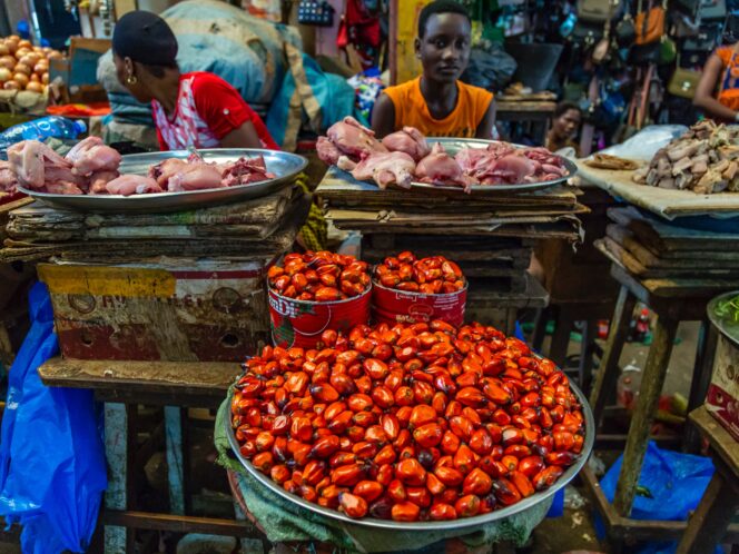 Food Imperialism Is&nbsp;Alive in&nbsp;Africa