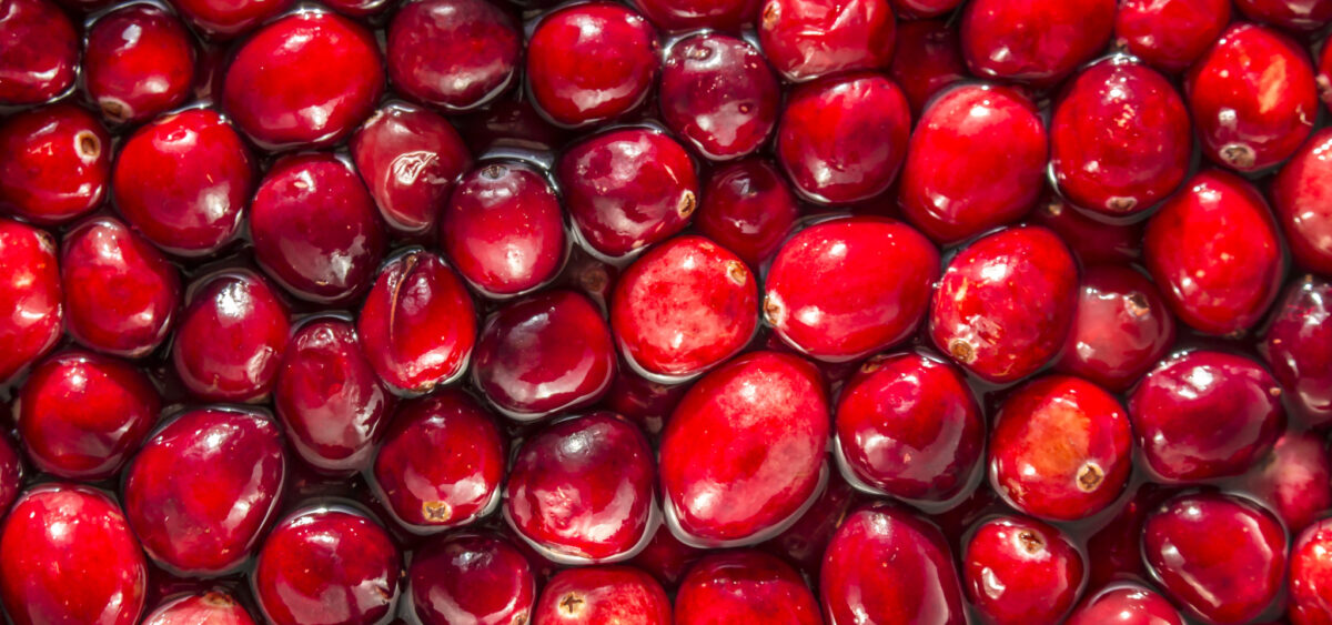 A&nbsp;Craving for Cranberries