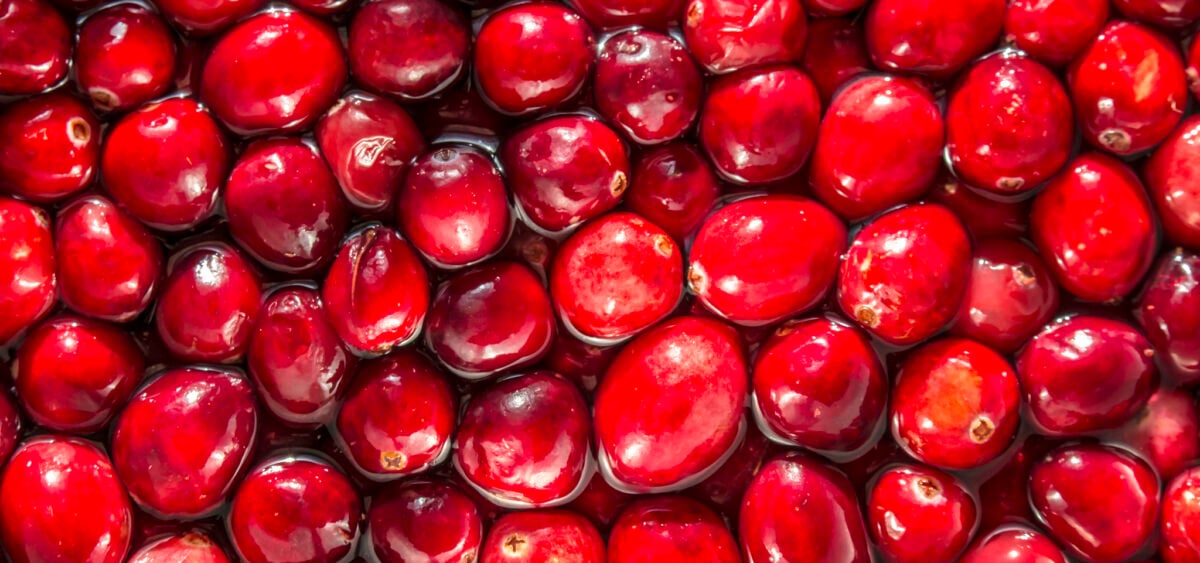 A&nbsp;Craving for Cranberries