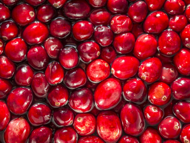 A&nbsp;Craving for Cranberries