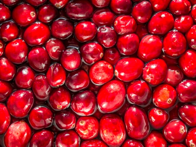 A&nbsp;Craving for Cranberries