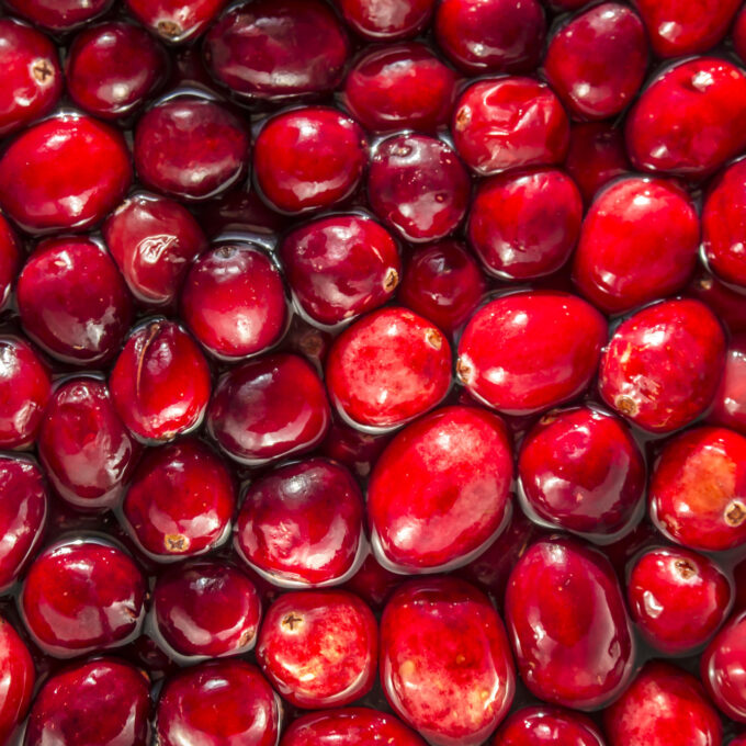 A Craving for Cranberries