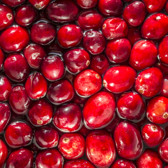 A&nbsp;Craving for Cranberries
